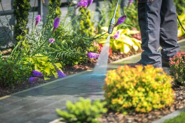 Best Dumpster Area Cleaning  in Pico Rivera, CA