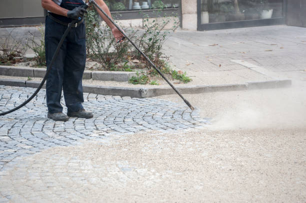 Best Driveway Pressure Washing  in Pico Rivera, CA